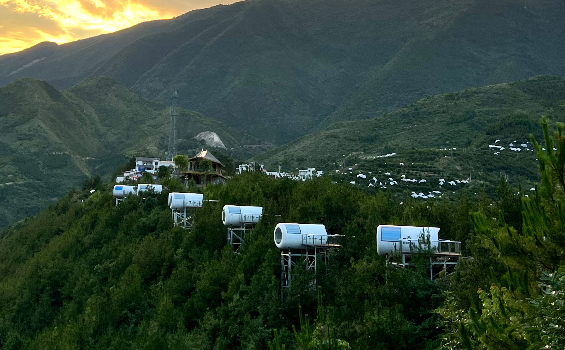 在星河与烟火间,书写旅居新诗篇